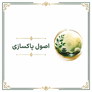 اصول پاکسازی