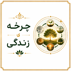 چرخه زندگی