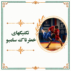 تکنیکهای خطرناک سامبو