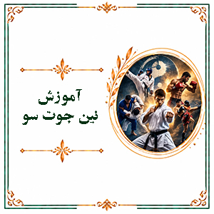 آموزش نین جوت سو